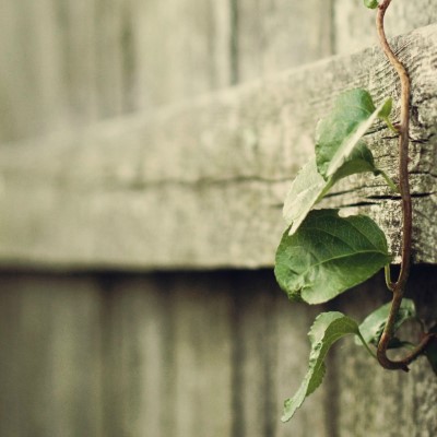 1920 x 1080 HD Wallpapers 1089